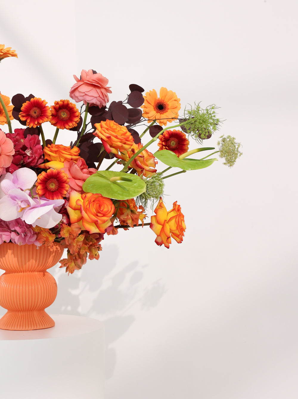 Sunshine - Revery flowers