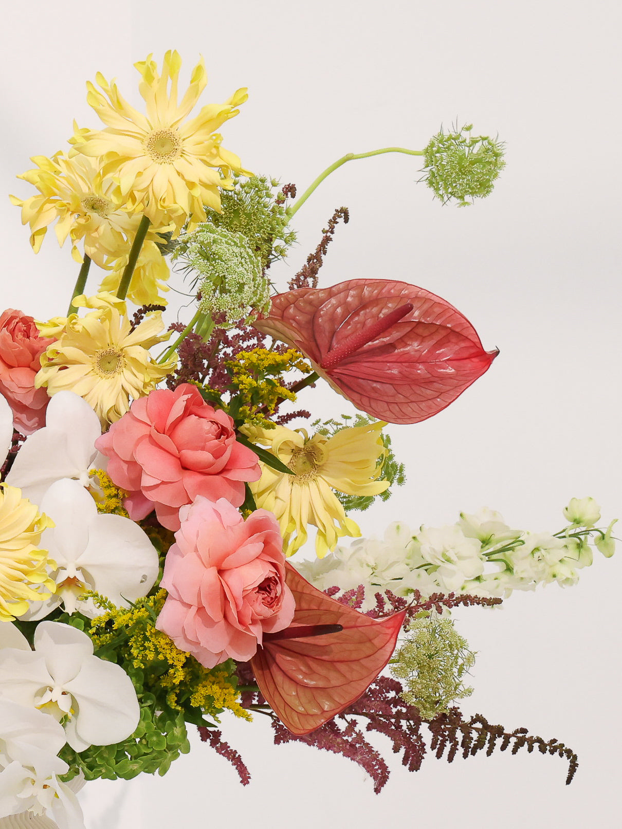 Morning sunshine - Revery flowers