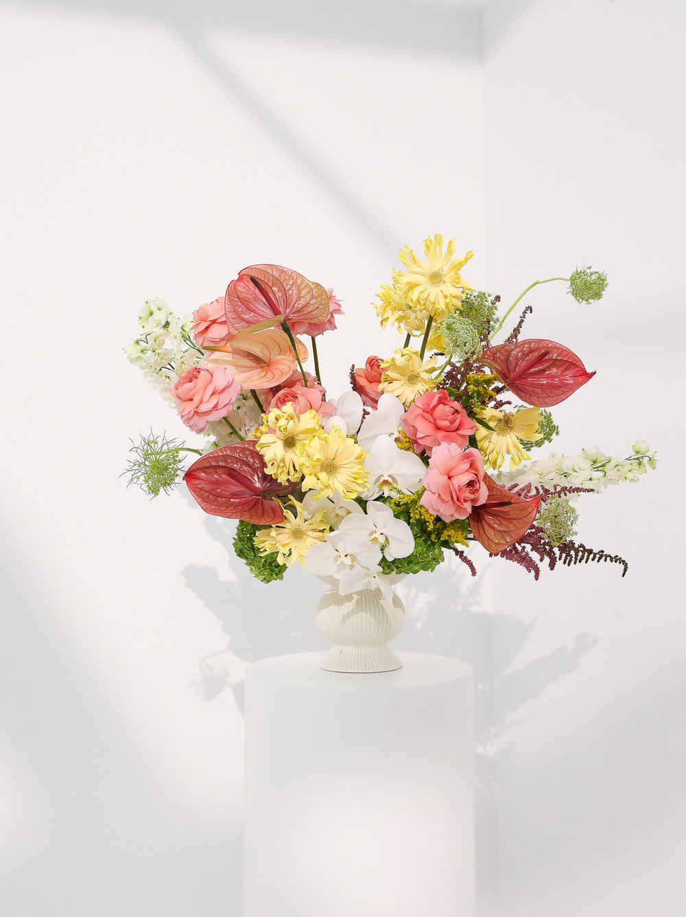 Morning sunshine - Revery flowers