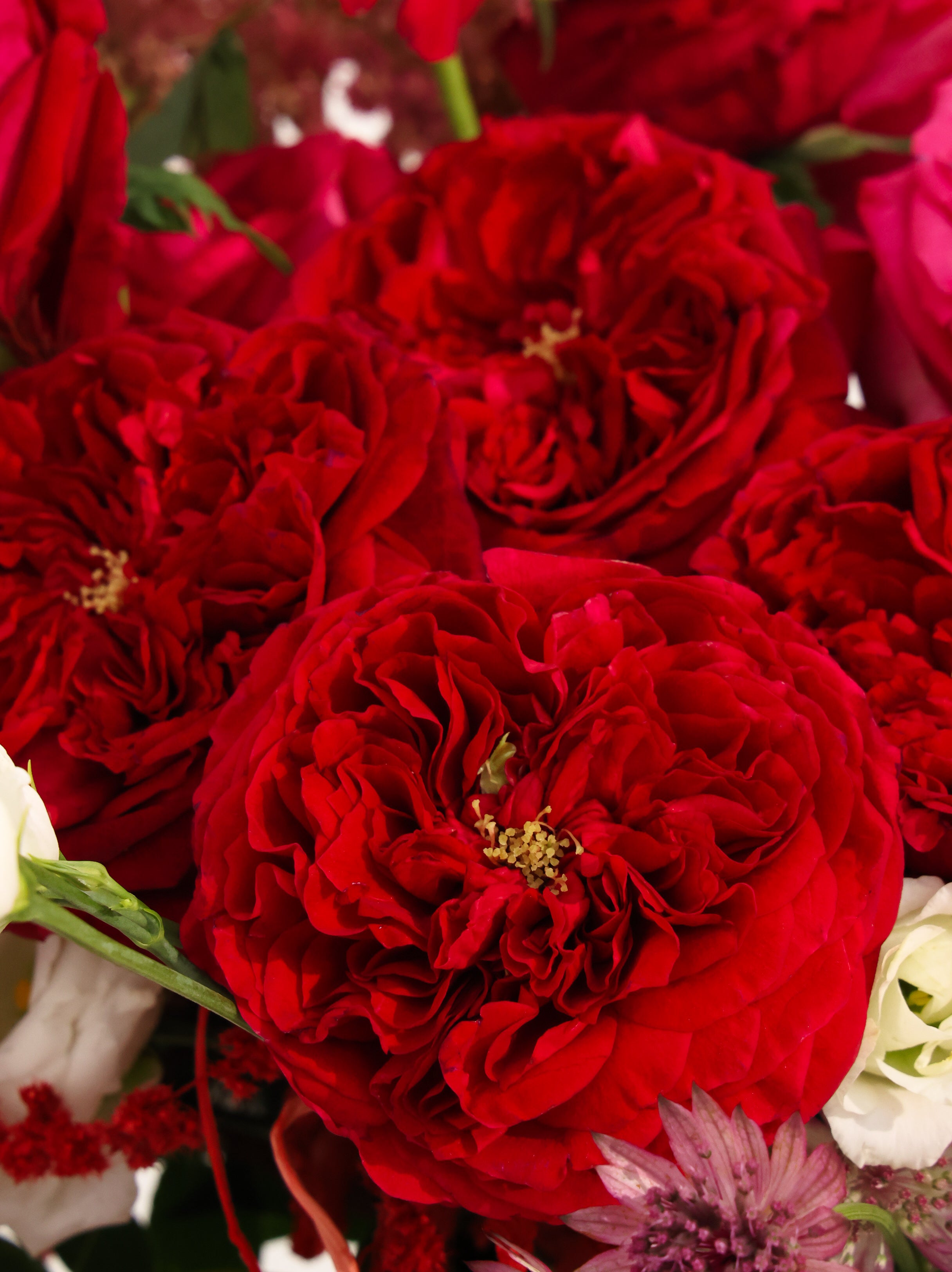 Love story - Revery flowers