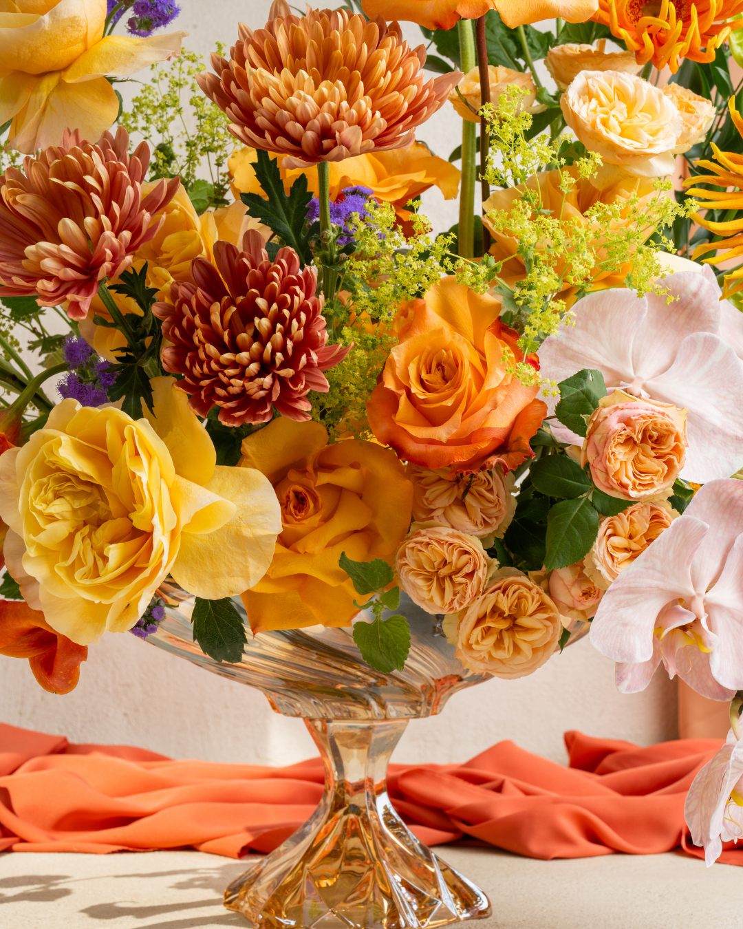 Apricot Glaze - Revery flowers