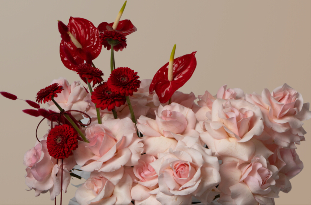 Soft Blush - Revery flowers