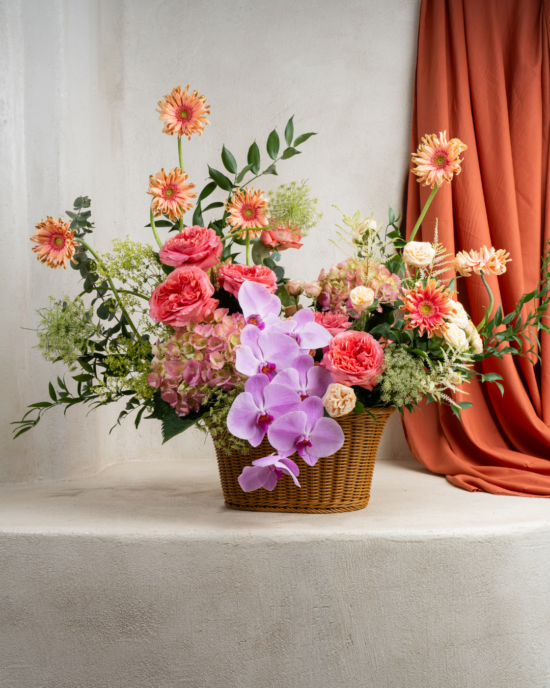 Berry Lime Fizz - Revery flowers