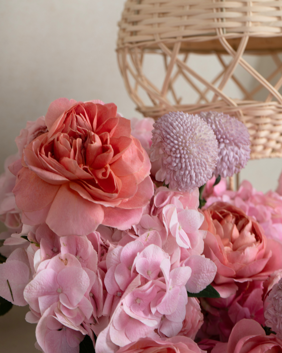 Baby Blossom - Revery flowers
