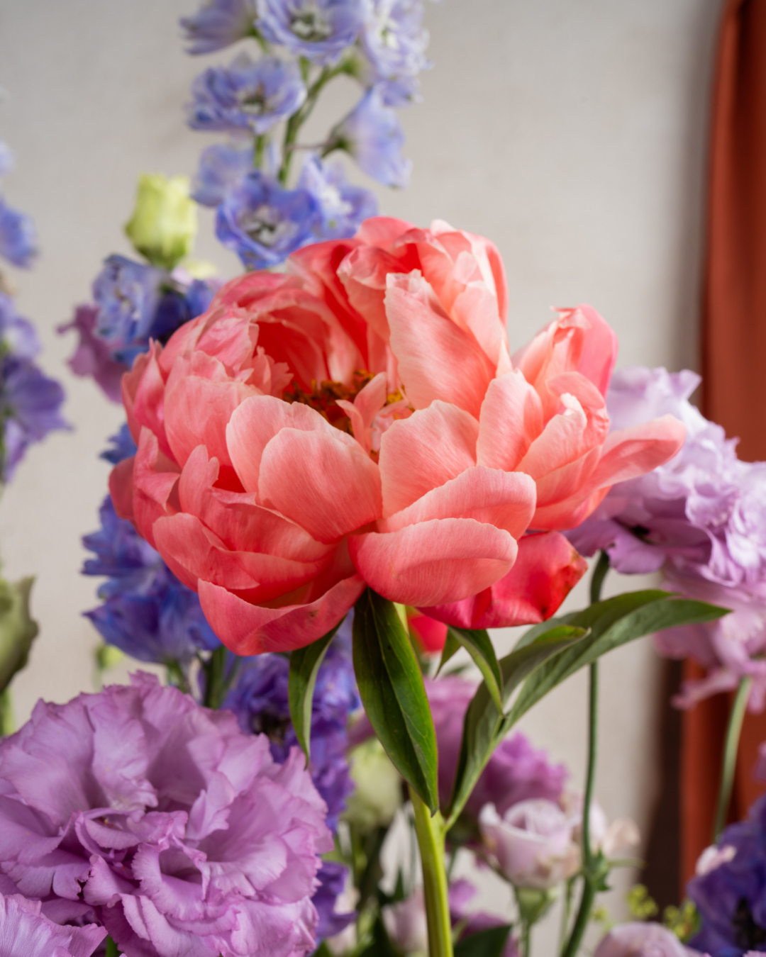 Sweetberry Whip - Revery flowers