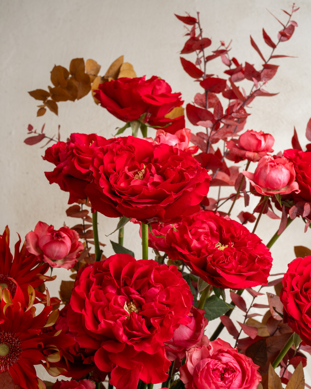 Cranberry - Revery flowers