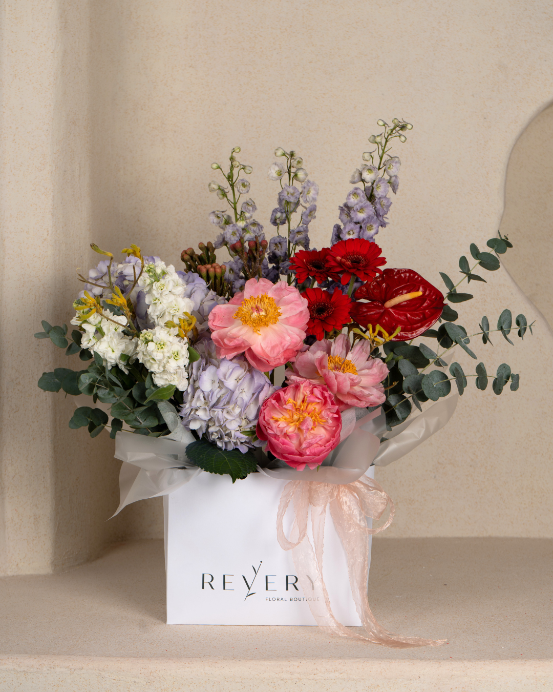 Blueberry Fizz - Revery flowers