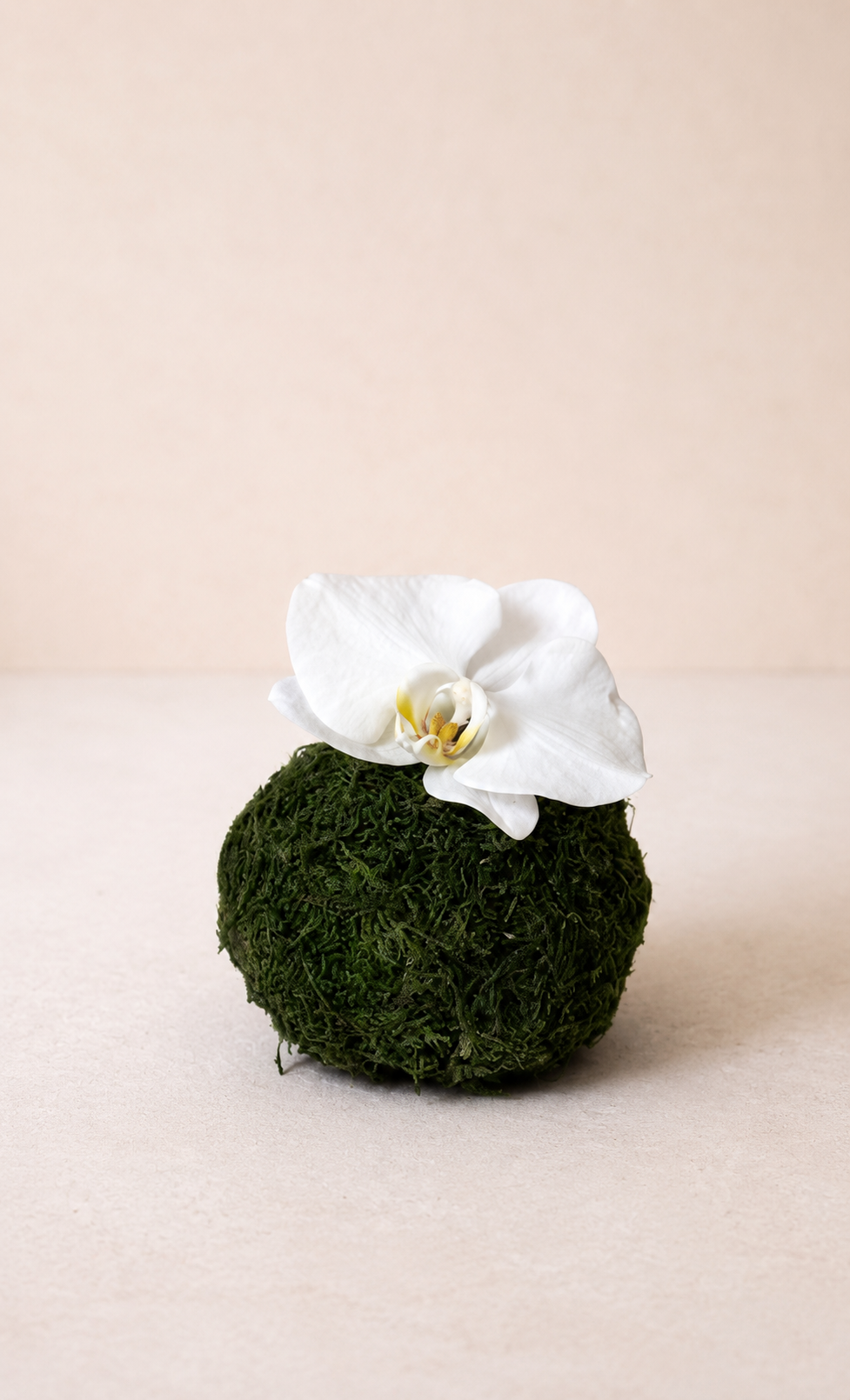 Orchid Moss Sphere