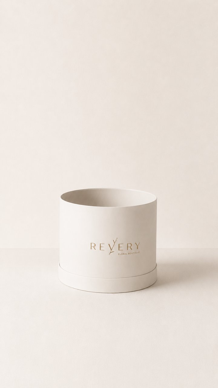 Box Large
